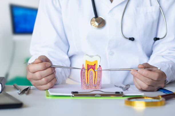 Best Emergency Dentist for Knocked-Out Tooth in Murfreesboro, AR